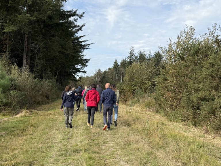 Emmener des collaborateurs en forêt