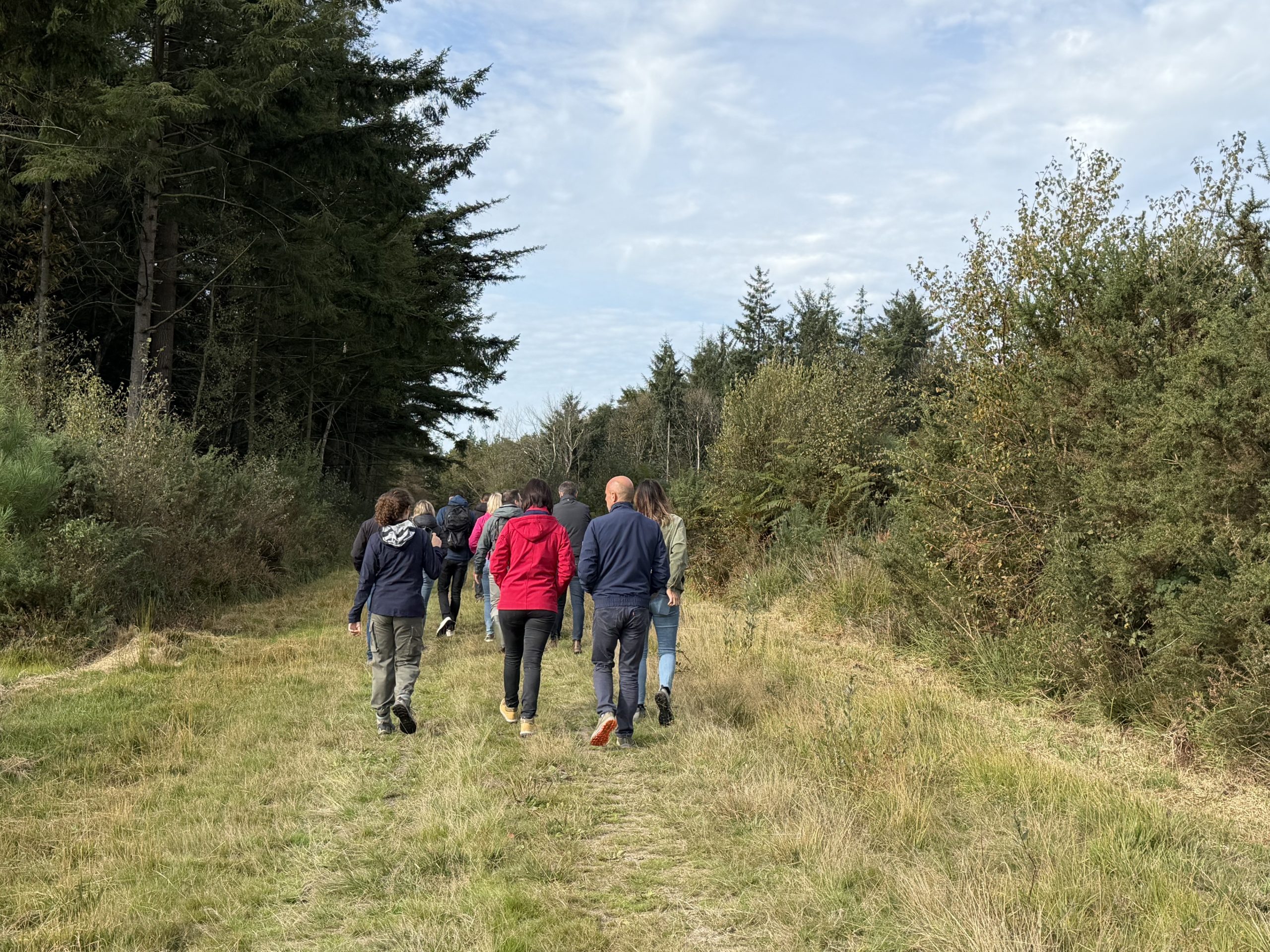 Emmener des collaborateurs en forêt